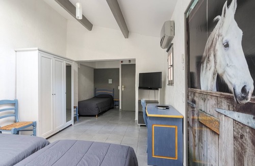 Saintes-Maries-de-la-Mer Hotel | Hôtel Les Palmiers en Camargue