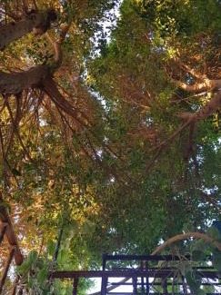 Luxor House | HabuHeritageHomeStayInLuxor