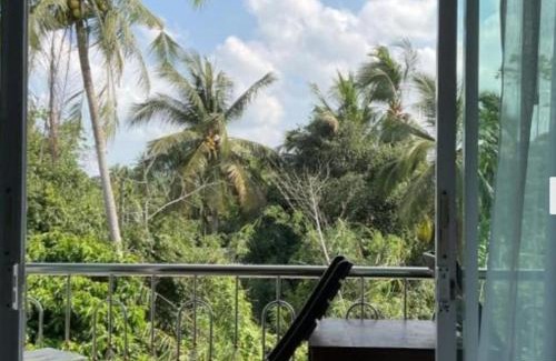 Lipa Noi Hotel | Hacia in box hotel