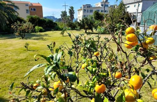 Seogwipo City House | Haeansung Pension