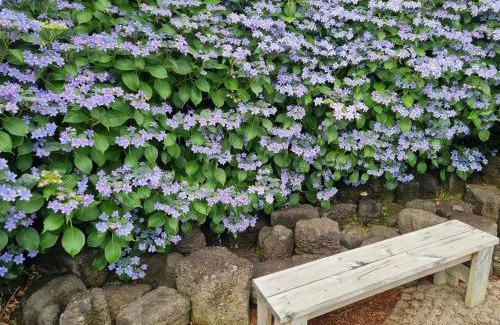 Seogwipo City House | Haeansung Pension