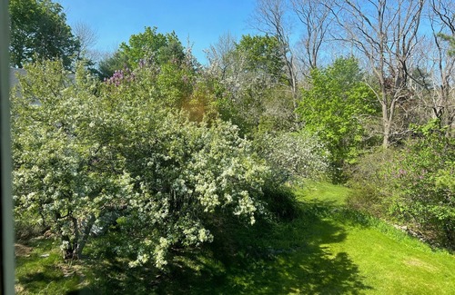 Hulls Cove House | Half Moon at Lookout Point - 5 BR - 4 BA House Central to all of Acadia