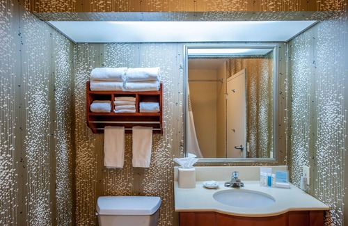 Bowling Green Hotel | Hampton Inn by Hilton Bowling Green