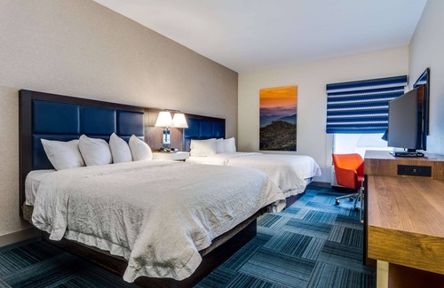 Johnson City Hotel | Hampton Inn Johnson City
