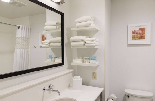 Mount Pleasant Hotel | Hampton Inn Mt. Pleasant