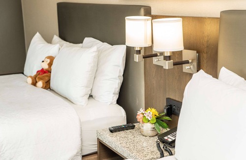 Mid-Market Hotel | Hampton Inn San Francisco Downtown/Convention Center