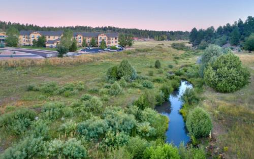 Show Low Hotel | Hampton Inn & Suites Show Low-Pinetop