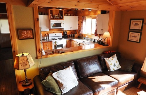 Olmstedville Cottage | Hand-Crafted Cottage near Gore Mountain and Minerva Lake