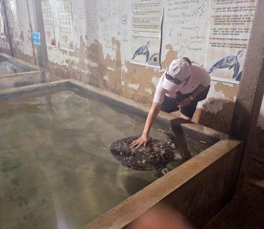 Mirissa Hotel | Hanguk Villa Mirissa