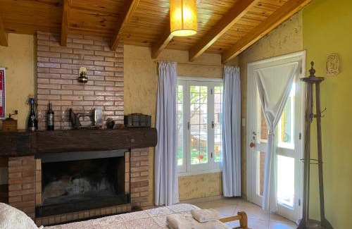 General Alvear House | Hansi