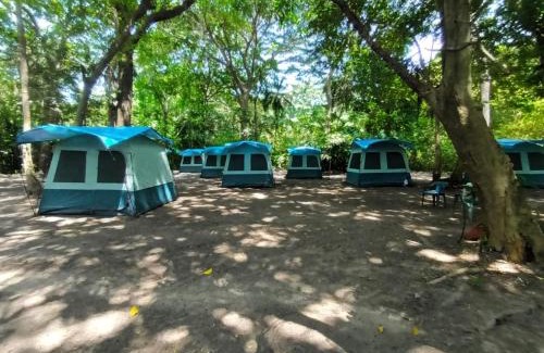 Santa Marta Other | Happy Camping Arrecifes dentro del Parque Nacional Natural Tayrona