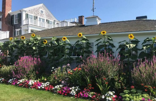 Edgartown Cottage | Harbor Front cottage for monthly rent