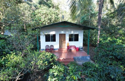 Mudigere House | Hasiru Homestay