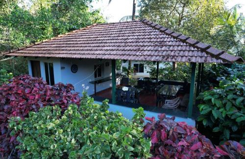 Mudigere House | Hasiru Homestay