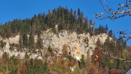 Saalfelden am Steinernen Meer Apartment | Haus Lichtenberger