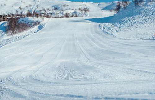 Vinje Apartment | Haukelifjell Skisenter