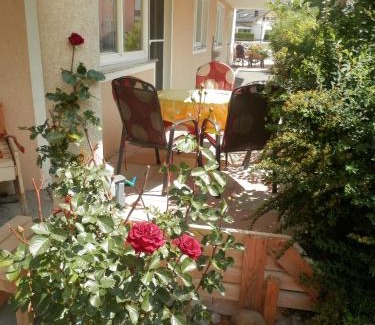 Laengenfeld Apartment | Haus Aida