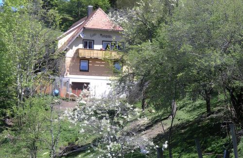 Triberg im Schwarzwald House | Haus Antonis
