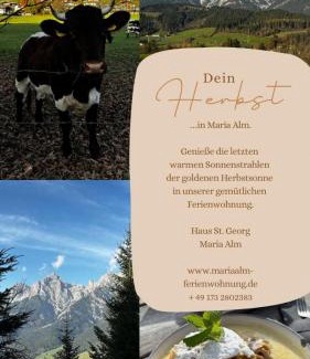 Maria Alm am Steinernen Meer Apartment | Haus St. Georg