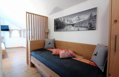 Zell am See House | Haus Ditzer - Villa Theresia