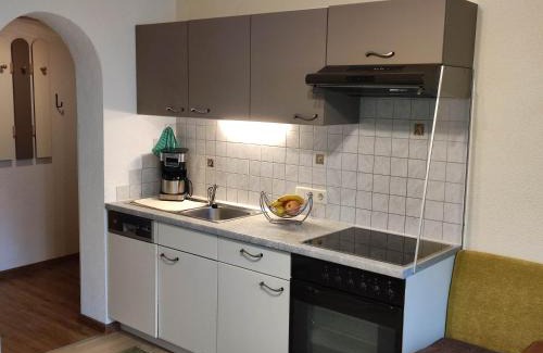 Jerzens Apartment | Haus Gertrud