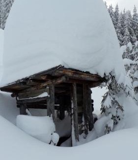 Sankt Johann im Pongau Apartment | Haus Höllwart