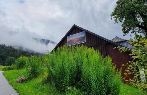 Pichl-Kainisch Apartment | Haus Kampl - Appartement Aussee