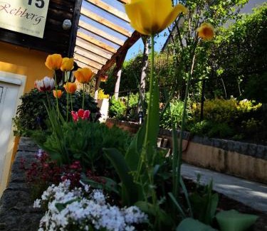 Wolfach Apartment | Haus Rebberg