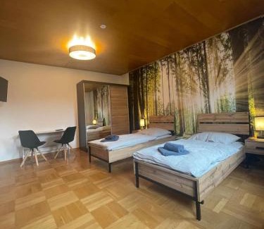 Region Hannover District Apartment | Haus Rozic