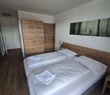 Katschberg Apartment | Haus Tauernblick Top 1
