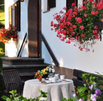 Obsteig Apartment | Haus Thurner