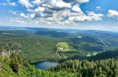 Feldberg Apartment | Haus Wiesenquelle - Fewo 1 "Schlüchtsee", Feldberg