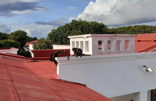 Colonia 10 De Abril Apartment | Heaven red suites