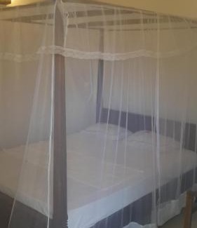 Pelena House | Hector House