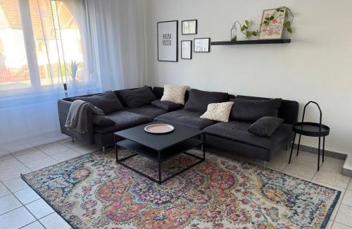 Ginsheim-Gustavsburg Apartment | Helles APT Wiesbaden Mainz FFM 2 Schlafzimmer