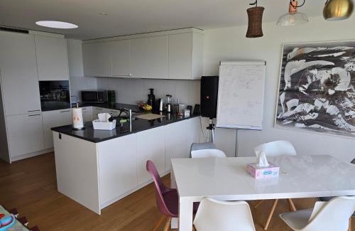Meilen District House | Helles WG Zimmer 1von4 in fantastischer Attikawohnung