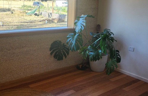 Muckleford House | Hempcrete Passive House Homestead in Castlemaine. Pet-friendly.