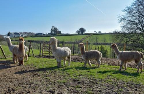 Llanybydder House | Hen Llaeth - Uk11209