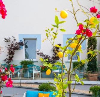 Ischia Porto Hotel | Hermitage Resort & Thermal Spa