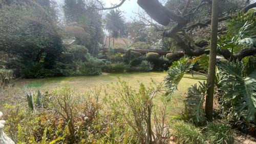 Germiston House | Hidden Gem Art Guesthouse , one of a kind