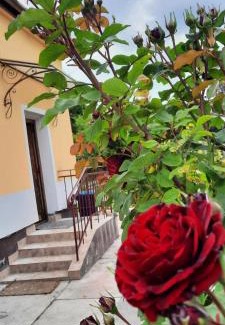 Rakosszentmihaly Apartment | Hideaway house with garden & freeparking