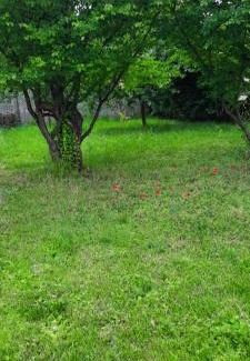 Rakosszentmihaly Apartment | Hideaway house with garden & freeparking