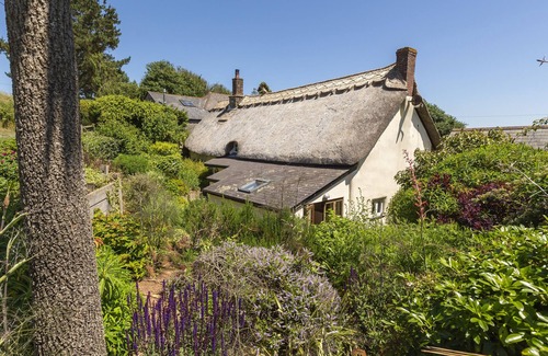 Kingsbridge Cottage | Higher Collaton Cottage