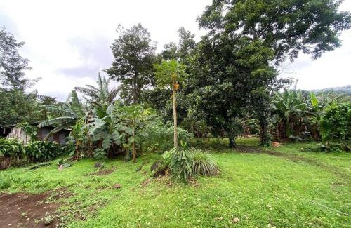 Bijagua House | Hijos del Bosque