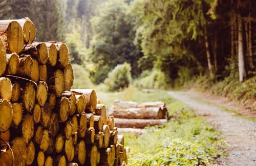 Luxembourg Ardennes Other | Hikerscabin Trekkershut natuur
