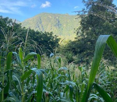 Chisec House | Hiking San Juan