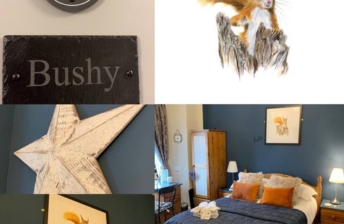 Ambleside Bed & Breakfast | Hillsdale in Ambleside