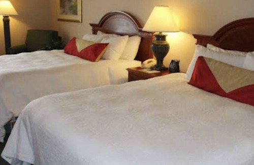 Wisconsin Dells Cabin | Hilton Garden Inn (Northeast)