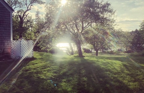 Stonington Cottage | Historic Cottage on Secluded Cove, with kayak, canoe and private ocean access.