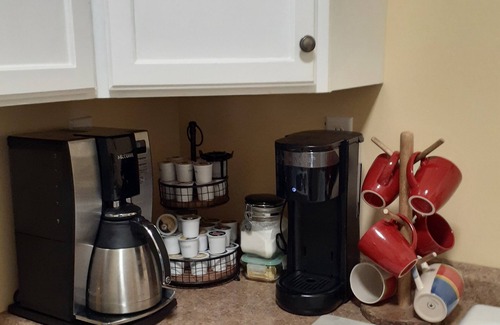 Rochelle Apartment | Historic Hideaway - charming small-town apartment. Pet friendly.